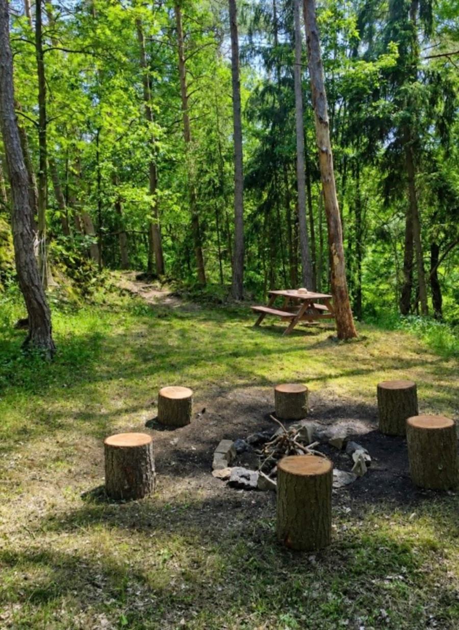 Kruhové ohniště obklopené pařezy na sezení