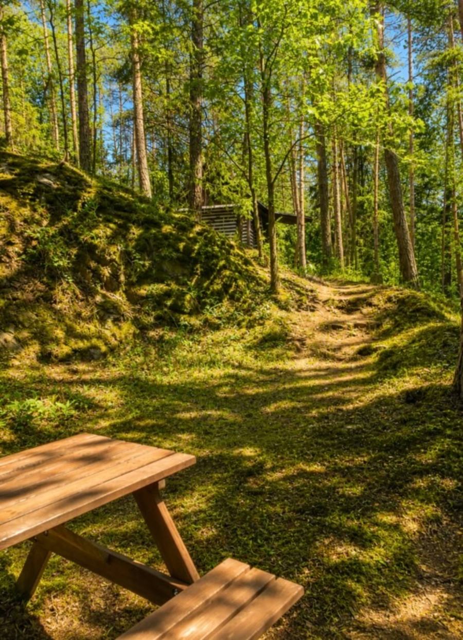 Dřevěná lavice se stolem na svahu mezi stromy